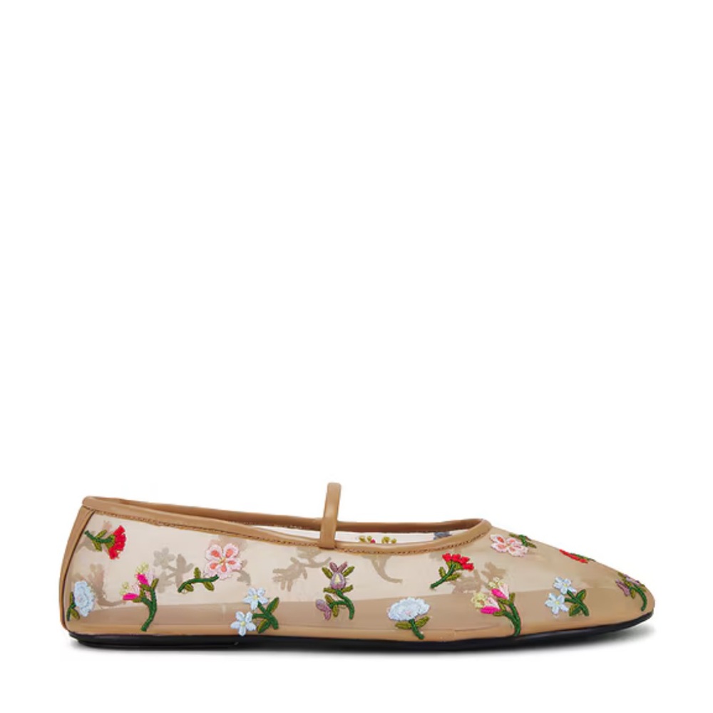 Floral Embroidered Dancer Ballet Flats